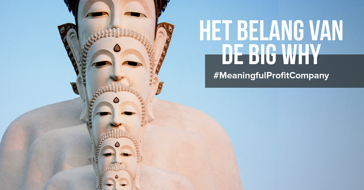 Het belang van een Big Why