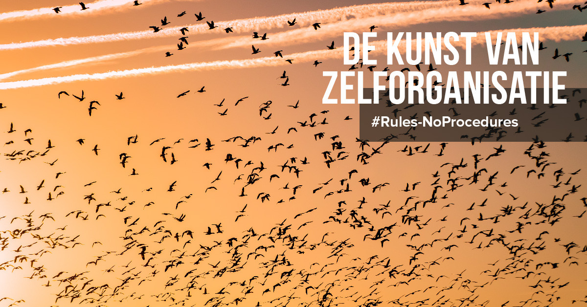 De Kunst van Zelforganisatie
