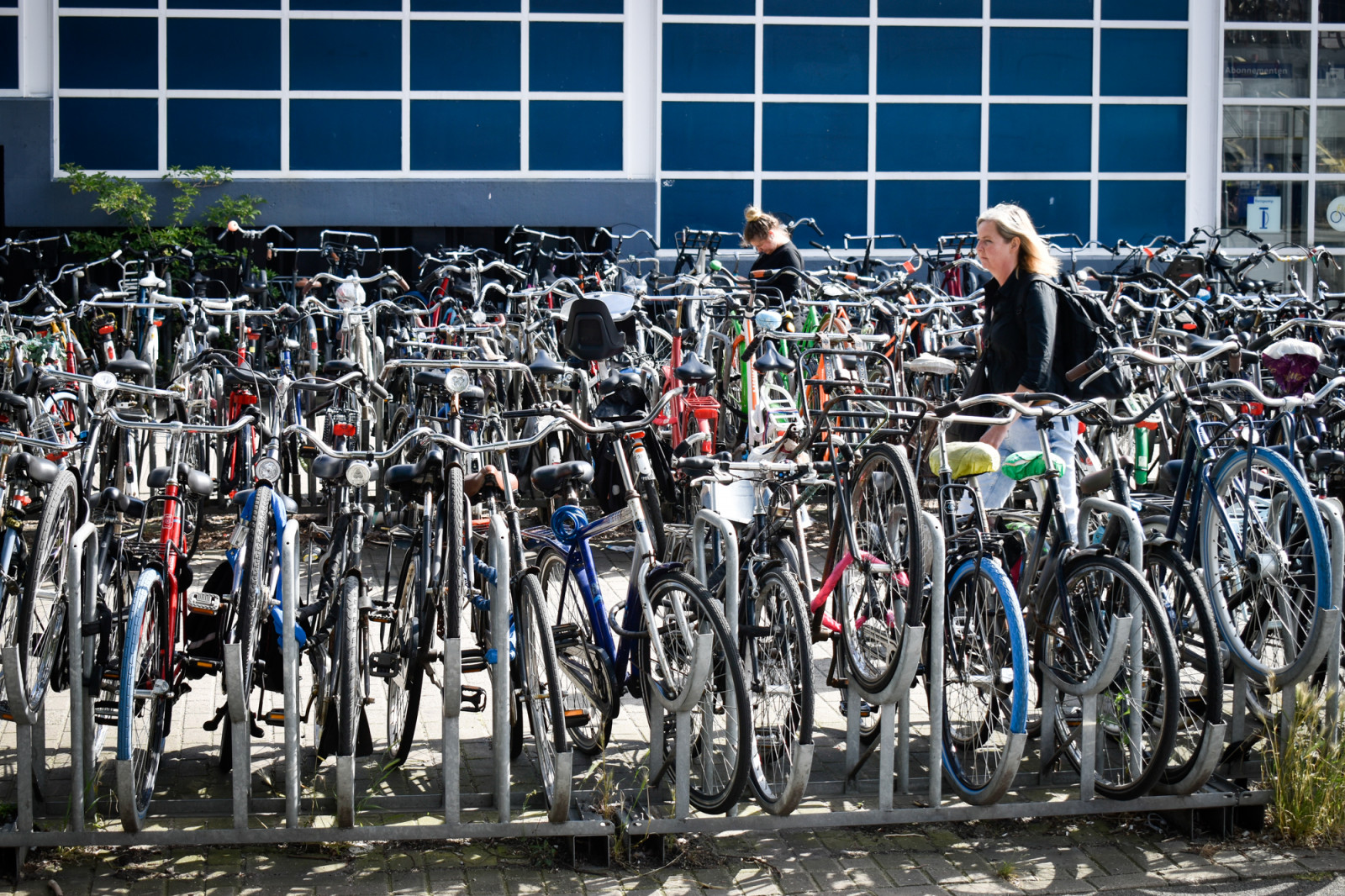 Bicicletas de colores en amsterdam 1