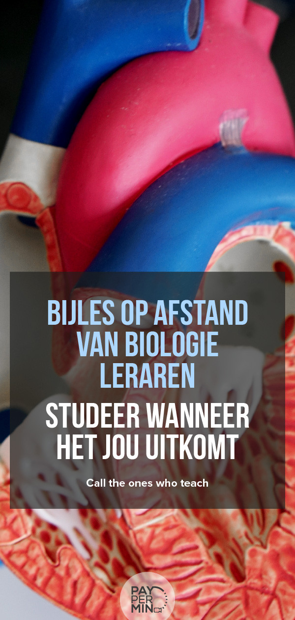 Bijlesleraren Biologie