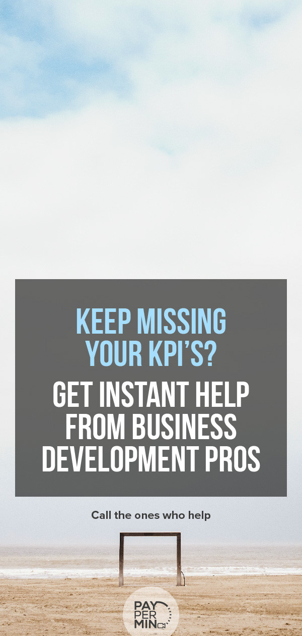 Business development consultants