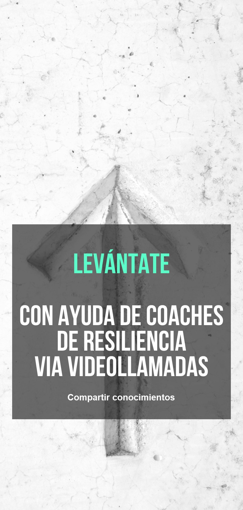 Coaches de resiliencia