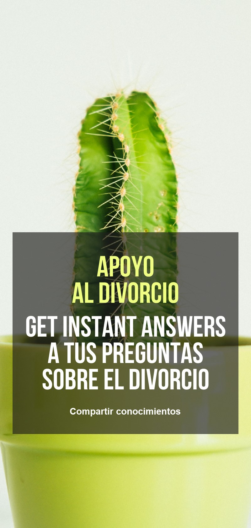 Consejería antes y después del divorcio