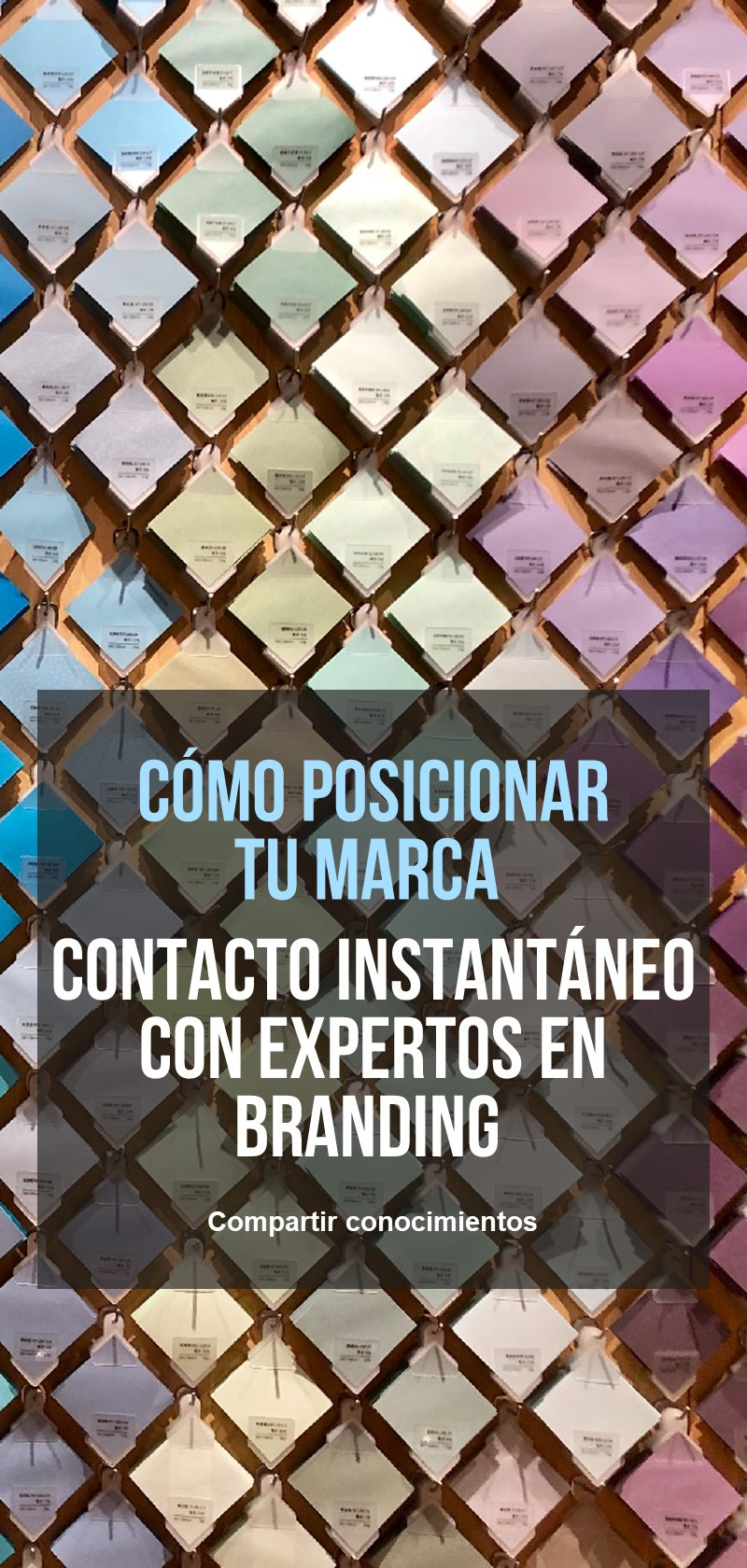 Estrategia y consejos para el posicionamiento de la marca