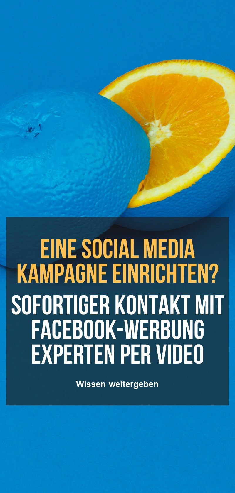 Facebook-Werbeexperten
