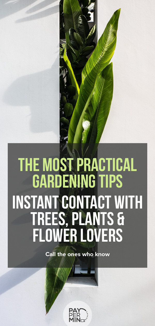 Tips & tricks from gardeners