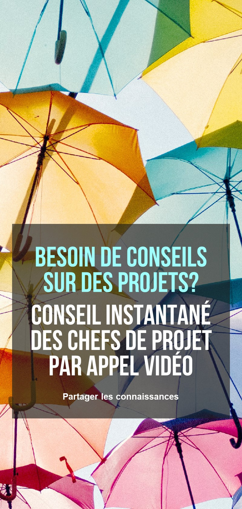 Compétences en gestion de projet