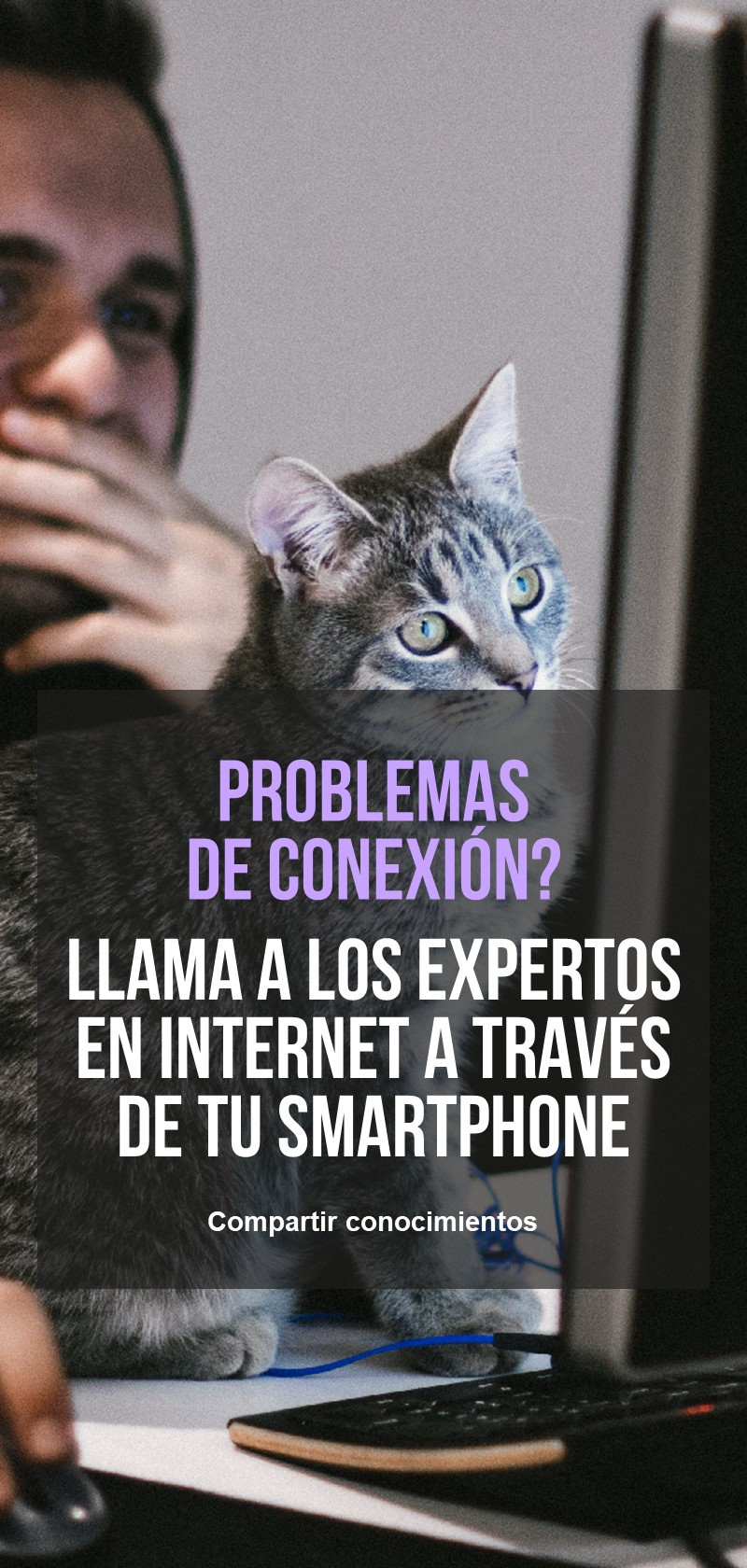 Expertos en Internet para ayudarte