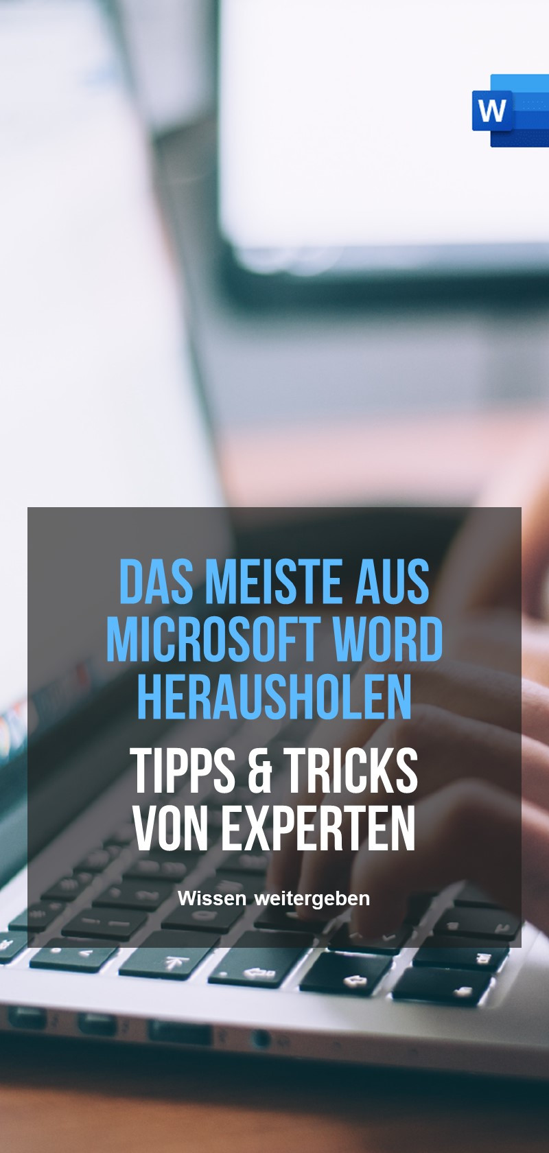 Microsoft Word Spezialisten