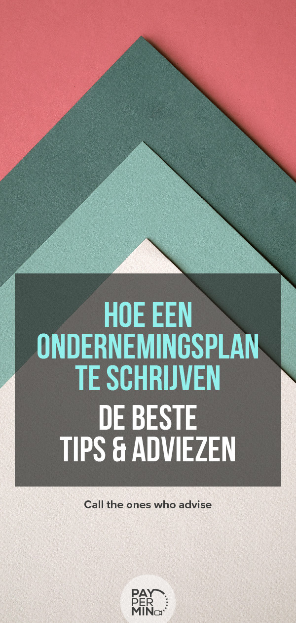 Ondernemingsplan Consultants