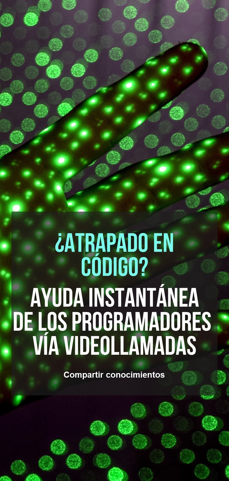 Programadores