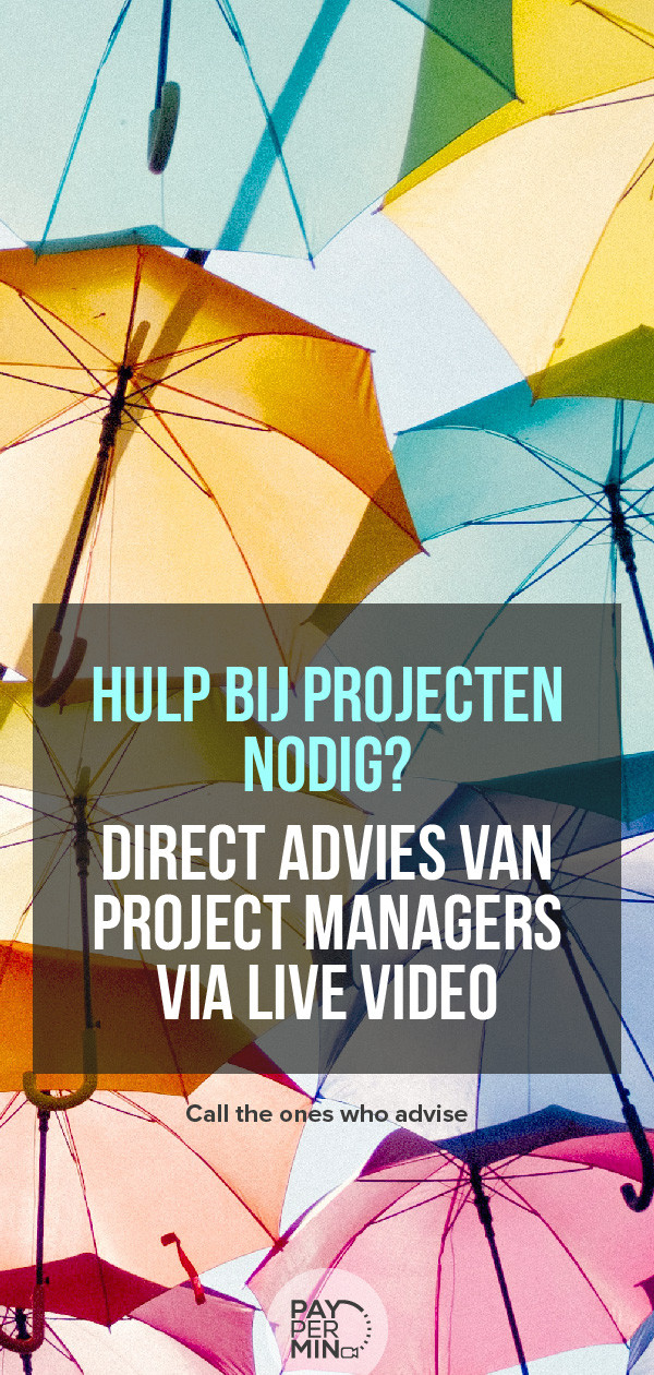 Projectmanagement vaardigheden