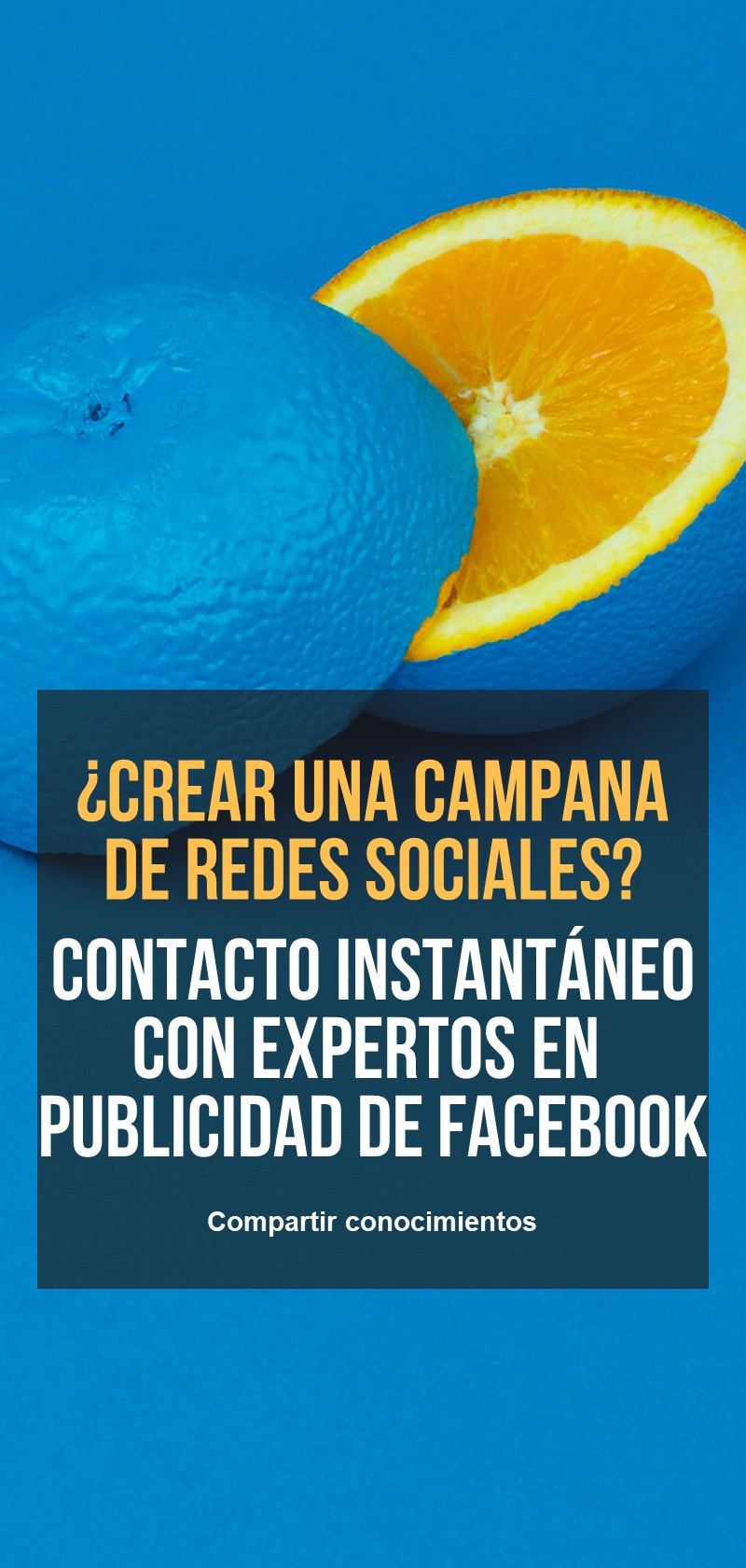 Expertos en publicidad en Facebook