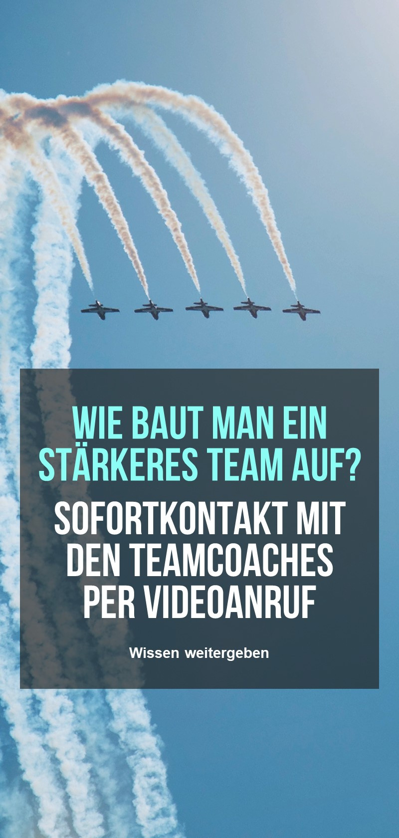 Begleiter und Ausbilder bei der Teambildung