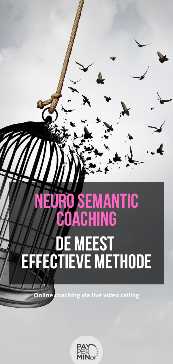 Wat is neuro semantiek coaching?