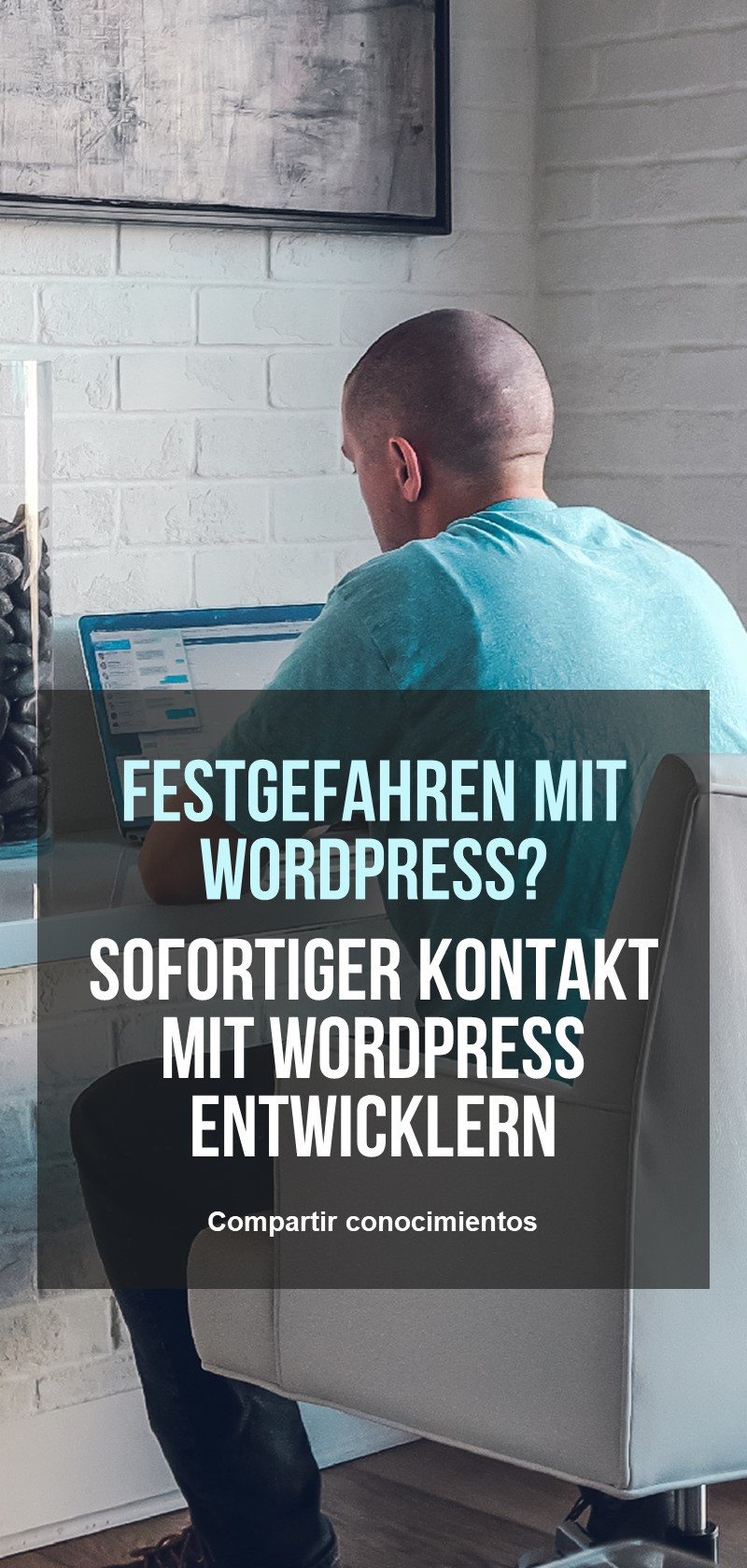 WordPress Entwickler